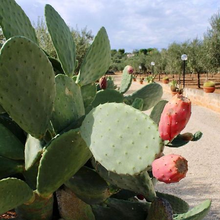 I Trulli Di Gina Appartamento Trullo 6 Persone Monopoli Buitenkant foto