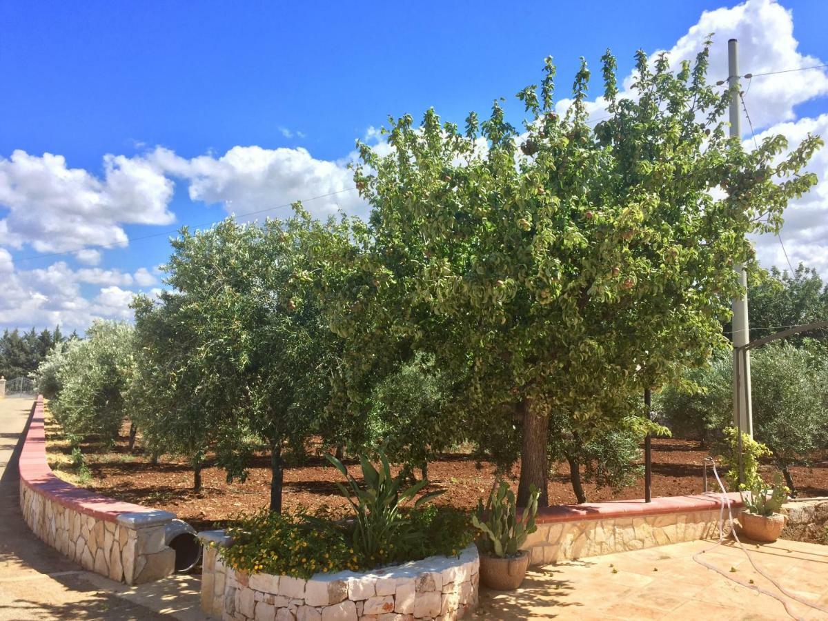 I Trulli Di Gina Appartamento Trullo 6 Persone Monopoli Buitenkant foto
